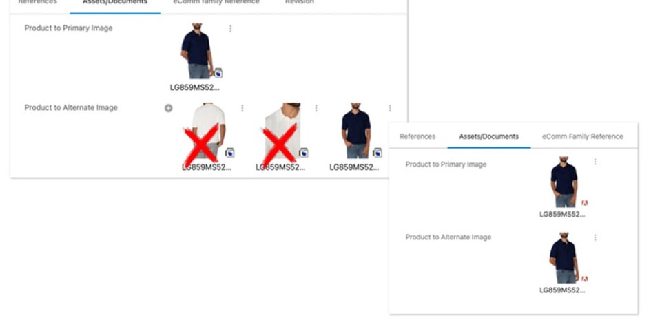 Asset/document panels showing rejected alternate images and the approved primary and alternate set